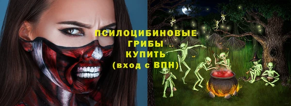 прущие грибы Абдулино