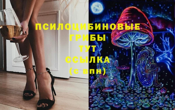 прущие грибы Абдулино