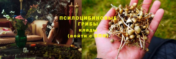 прущие грибы Абдулино
