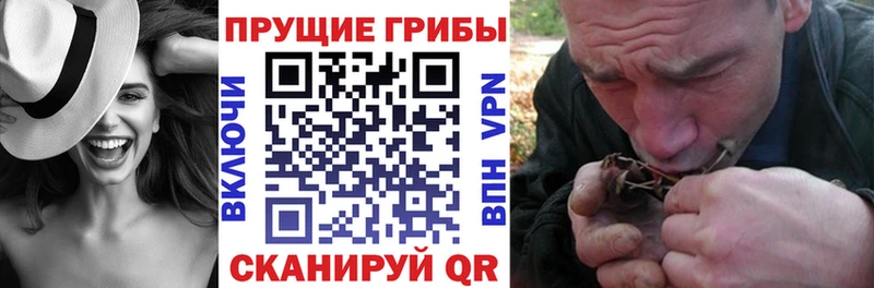 Галлюциногенные грибы Magic Shrooms  сколько стоит  Щёкино 